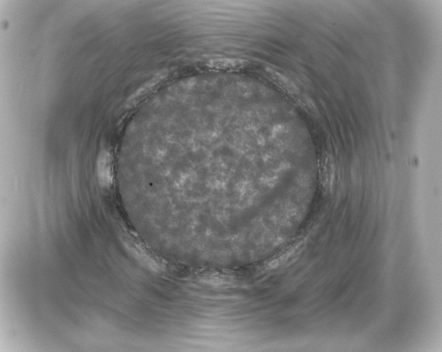 X0000087530962200705112027