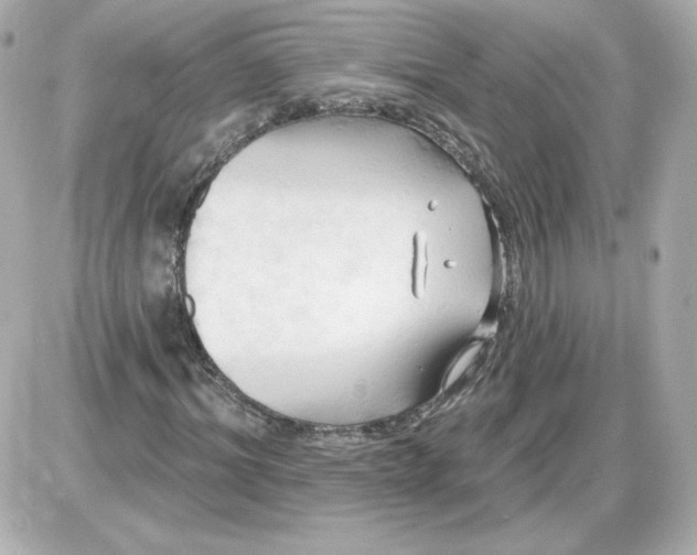 X0000087530964200705112027