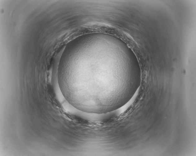 X0000087530965200705112027