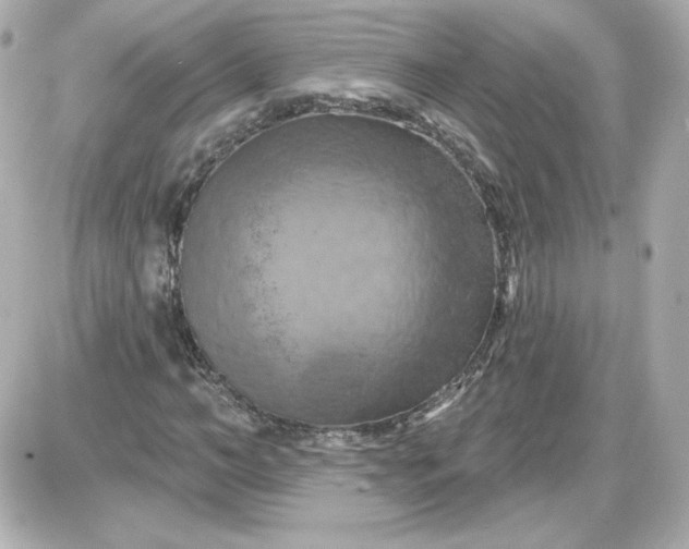 X0000087530966200705112027