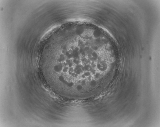 X0000087530967200705112027