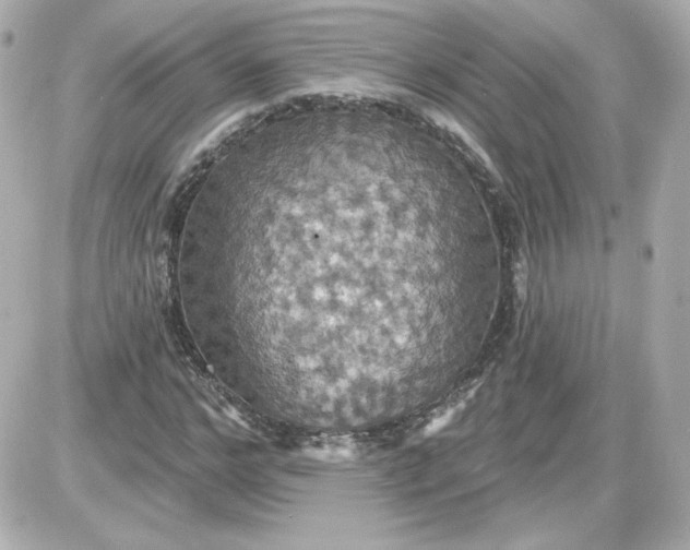 X0000087530968200705112027