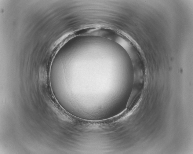 X0000087530969200705112027