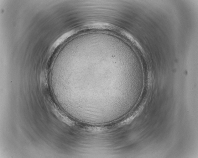 X0000087530970200705112027