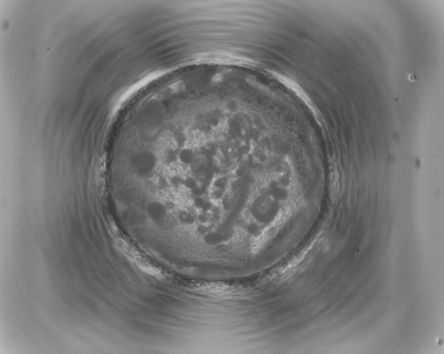 X0000087530971200705112027