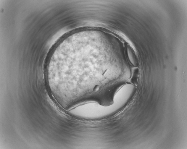 X0000087530972200705112027