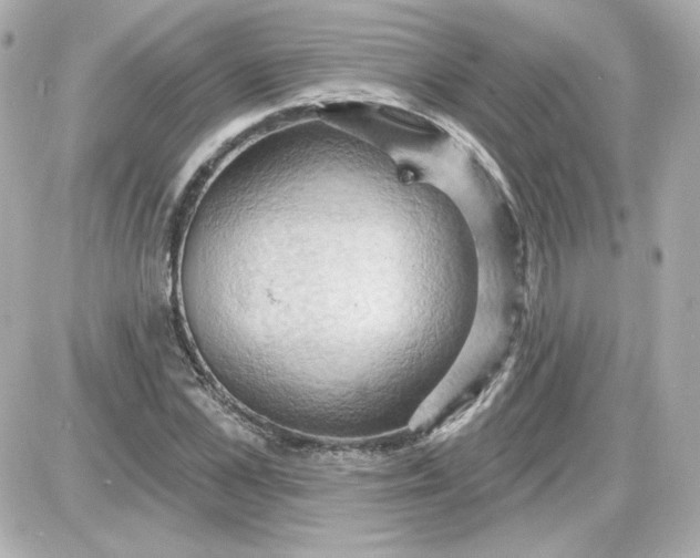 X0000087530973200705112027