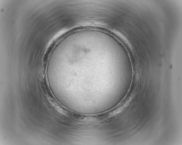 X0000087530974200705112027