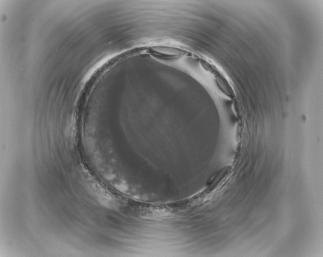 X0000087530975200705112027