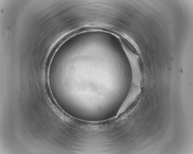 X0000087530976200705112027