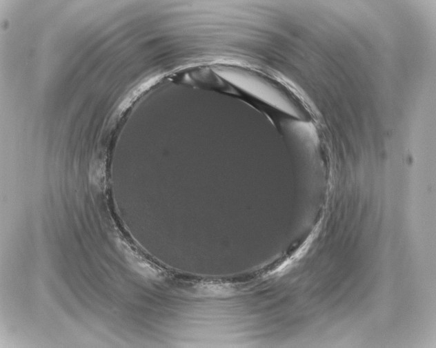 X0000087530977200705112027