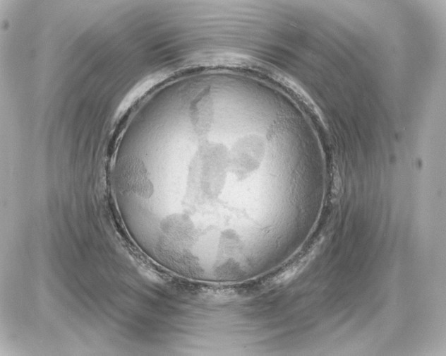 X0000087530978200705112027