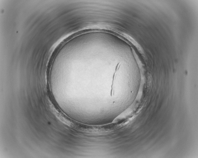 X0000087530980200705112027