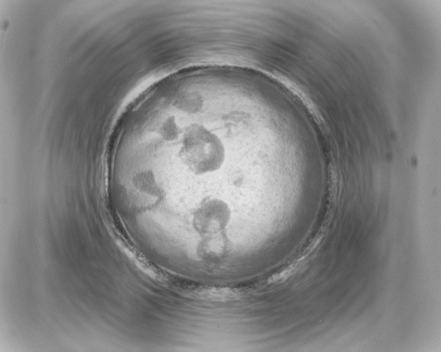 X0000087530982200705112027