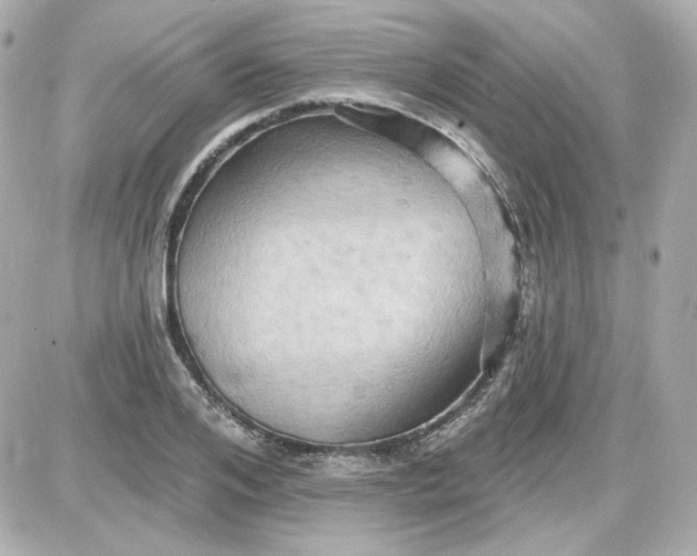 X0000087530984200705112027