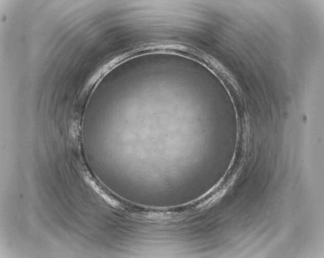 X0000087530985200705112027