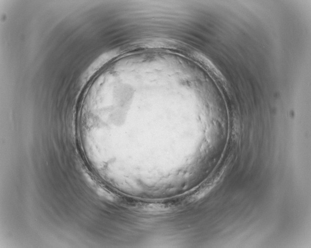 X0000087530986200705112027