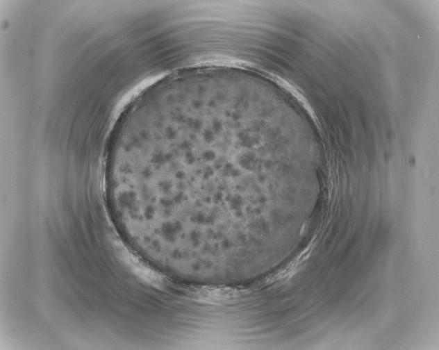 X0000087530987200705112027