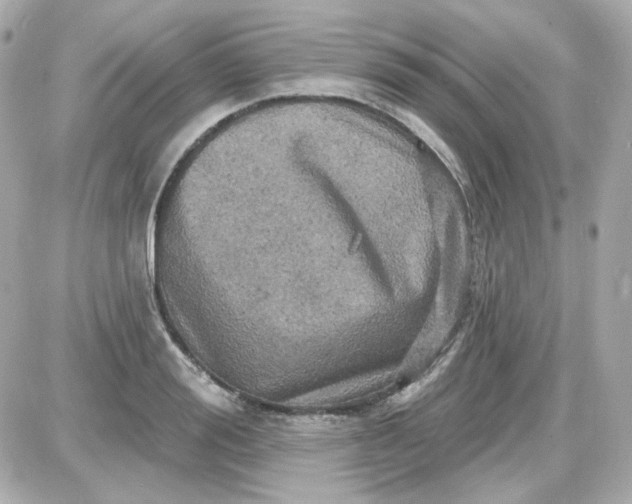 X0000087530988200705112027