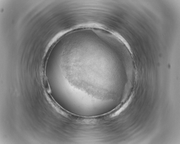 X0000087530989200705112027