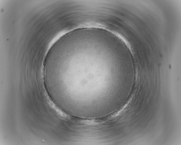 X0000087530990200705112027