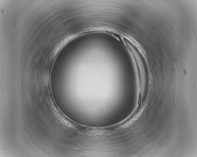 X0000087530993200705112027