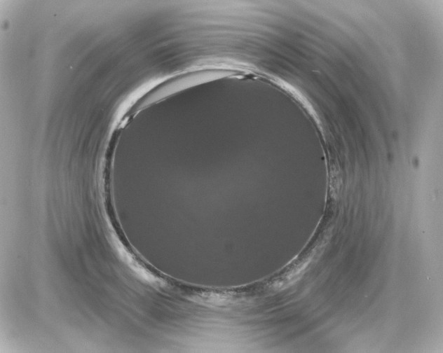 X0000087530995200705112027