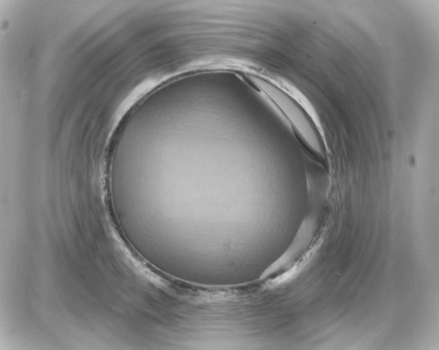 X0000087530997200705112027