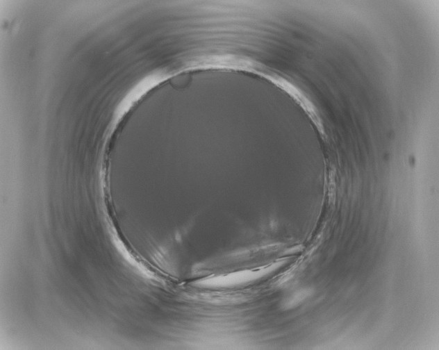 X0000087530998200705112027