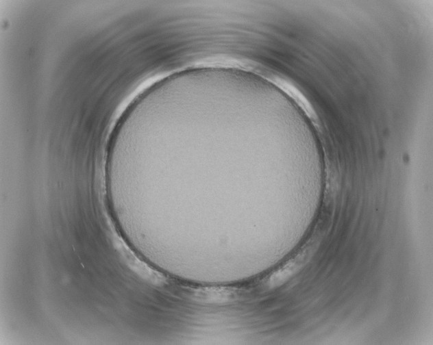 X0000087531000200705112027