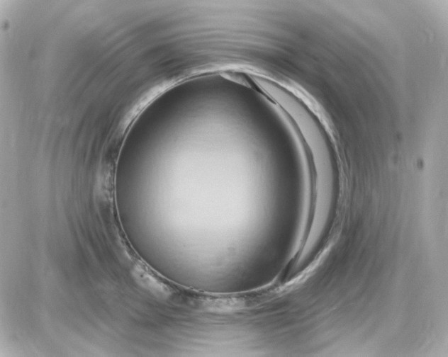 X0000087531001200705112027