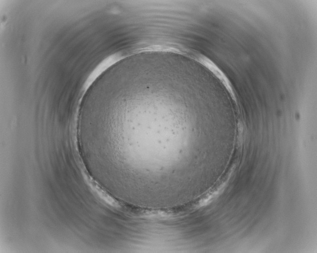 X0000087531002200705112027