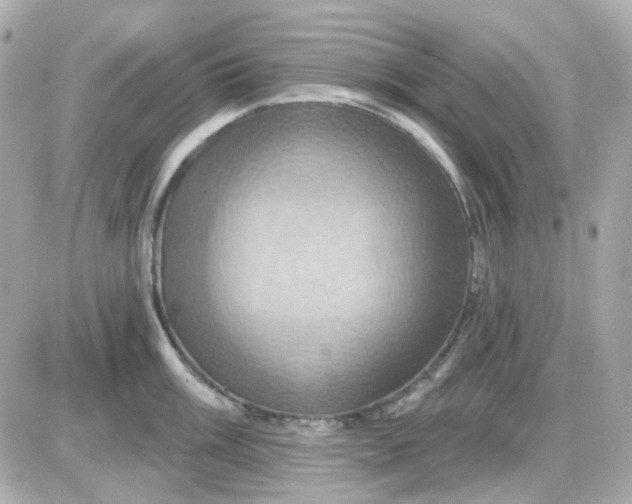 X0000087531003200705112026