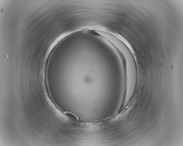 X0000087531005200705112026