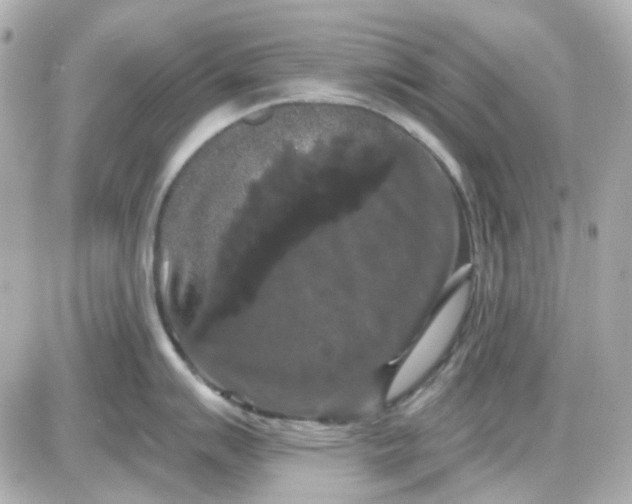 X0000087531007200705112026