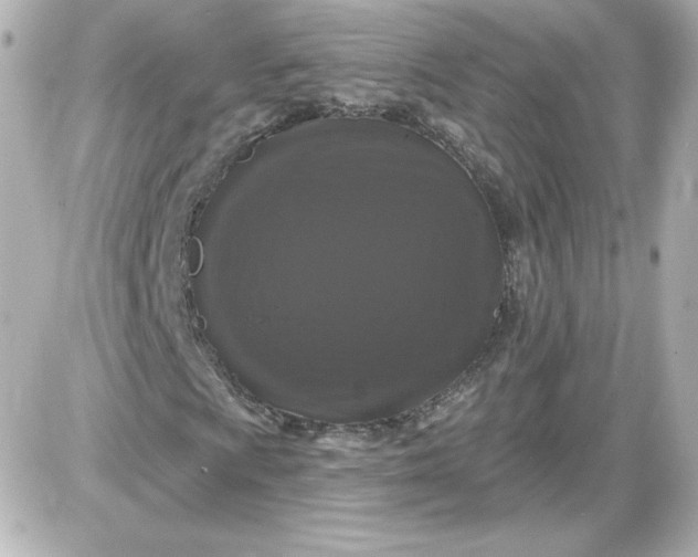 X0000087531009200705112026