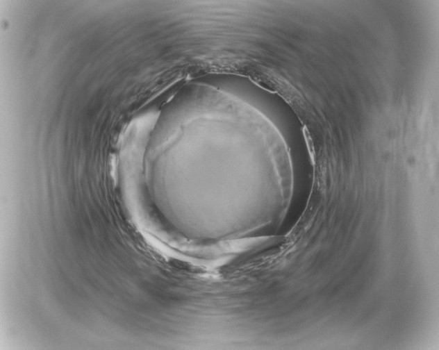 X0000087531010200705112026