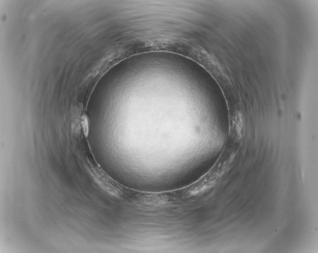 X0000087531012200705112026