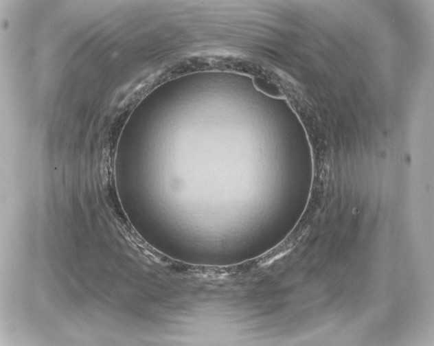 X0000087531014200705112026