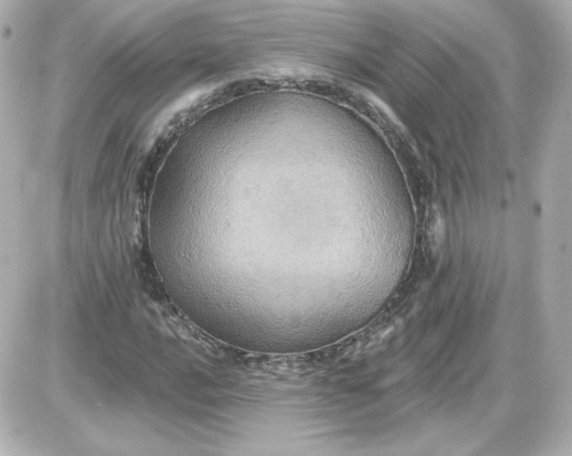 X0000087531016200705112026