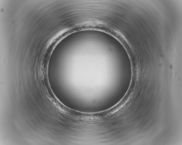 X0000087531018200705112026