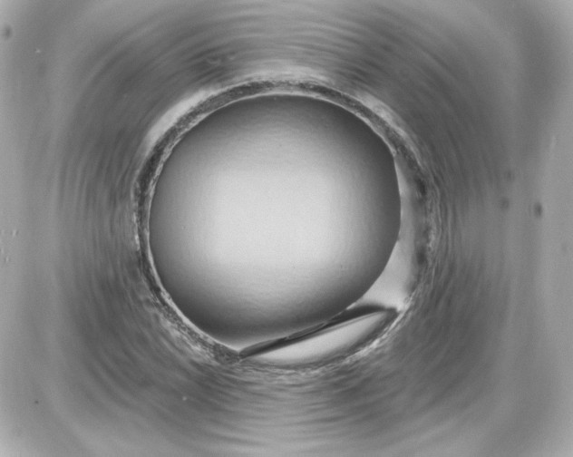 X0000087531022200705112026