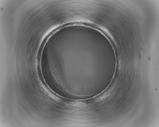 X0000087531024200705112026