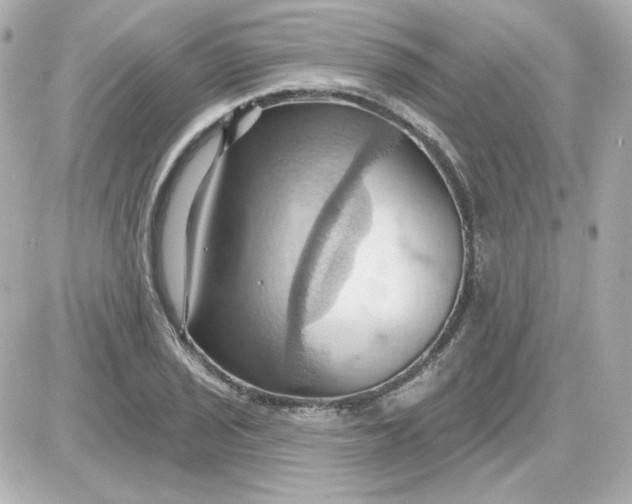 X0000087531029200705112026