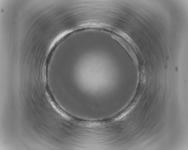 X0000087531030200705112026