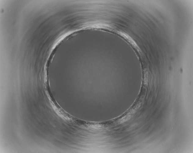 X0000087531031200705112026