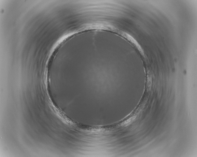 X0000087531035200705112026