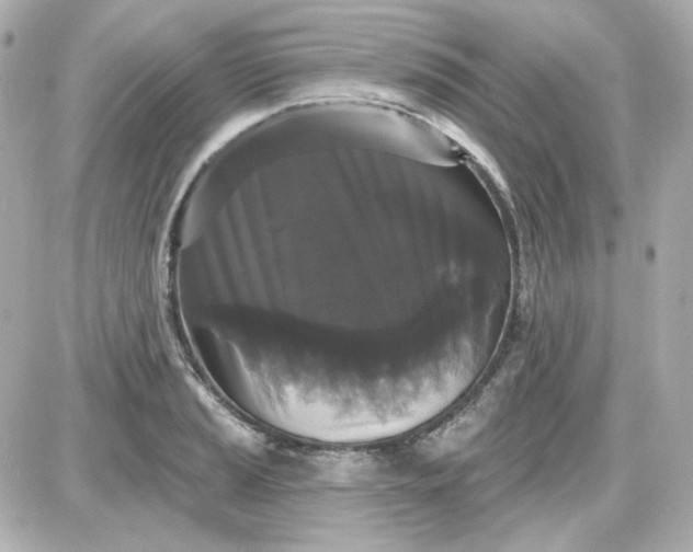 X0000087531037200705112026