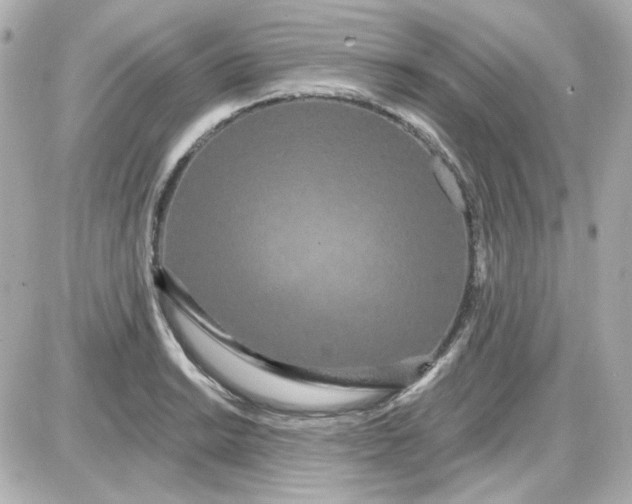 X0000087531038200705112026