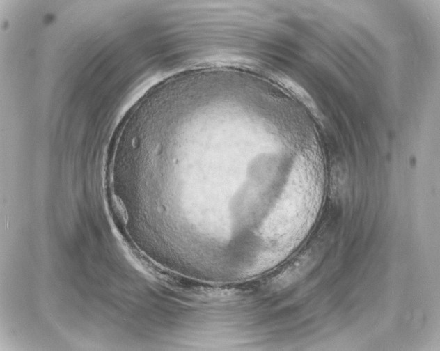 X0000087531039200705112026